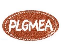 PLGMEA
